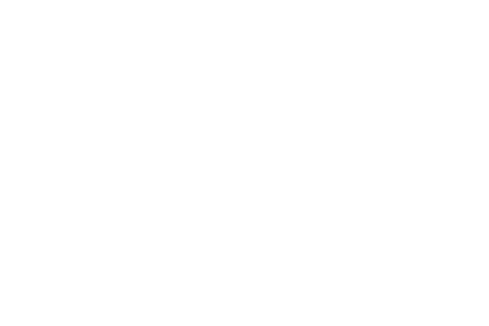 Rodeo FX