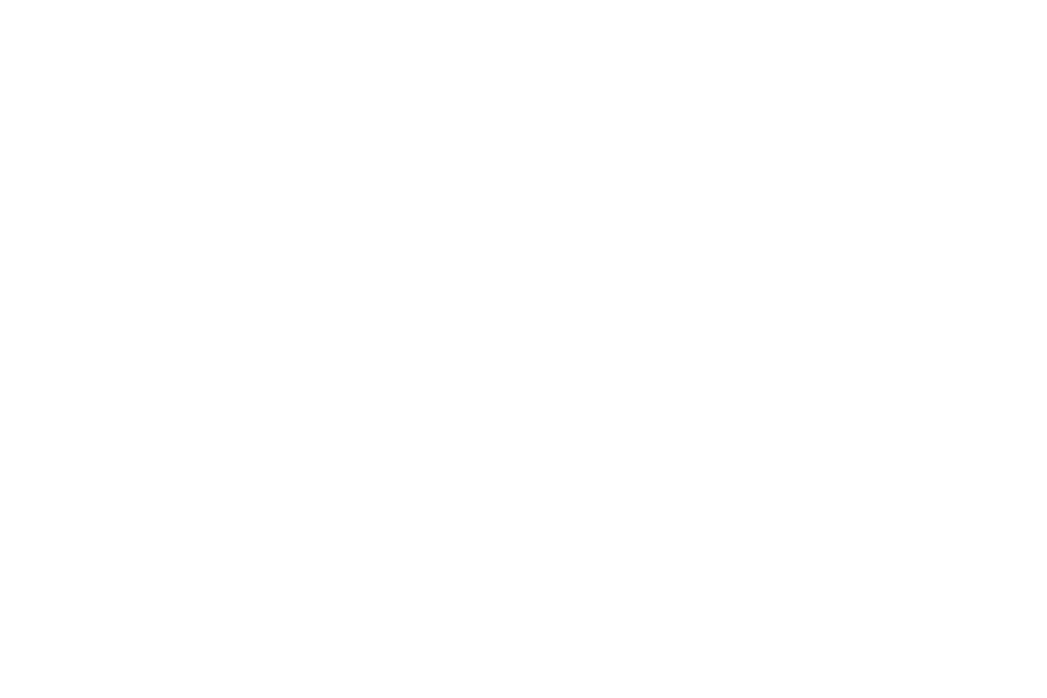 Simleader
